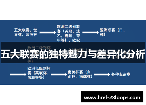 五大联赛的独特魅力与差异化分析 五大联赛的独特魅力与差异化分析